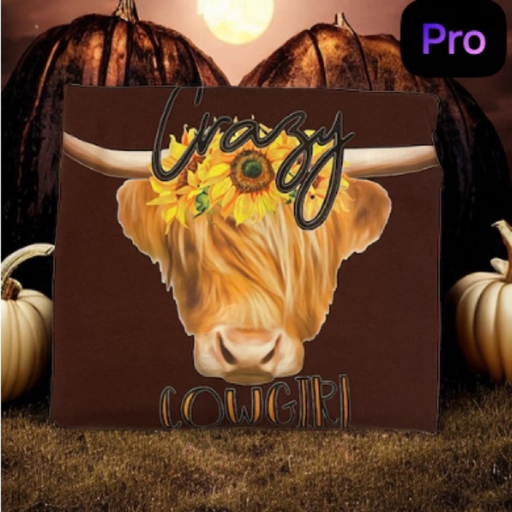 Crazy cow girl tee